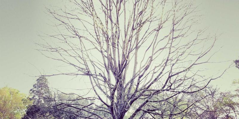 浙江二手车市场深度解析：如何避开交易陷阱，把握异地流通新机遇？