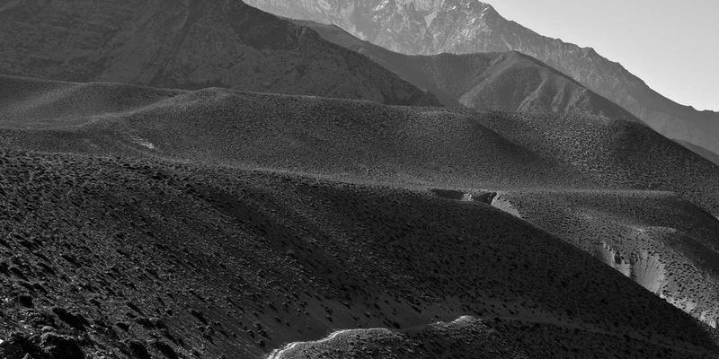 浙江商用车电动化转型加速:港口牵引车与城市物流车的市场蓝海与突围之路