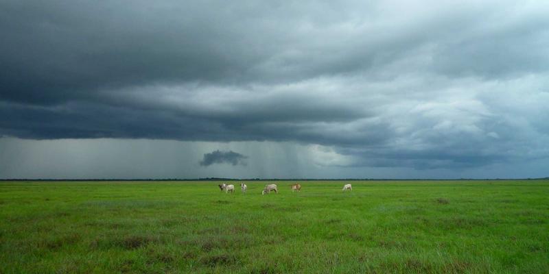 浙江汽车产业数字化转型:从“黑灯工厂”到工业互联网平台,如何重塑“智造”新生态?