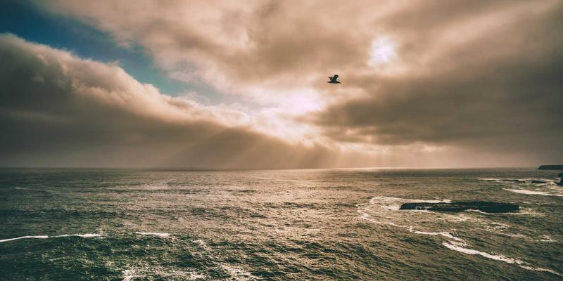 车轮上的诗画浙江：解锁汽车产业与文旅融合新玩法，自驾游线路、房车营地与特色服务区全攻略